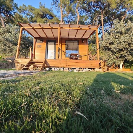 Tiny Mini House Ξενοδοχείο Dalaman Εξωτερικό φωτογραφία