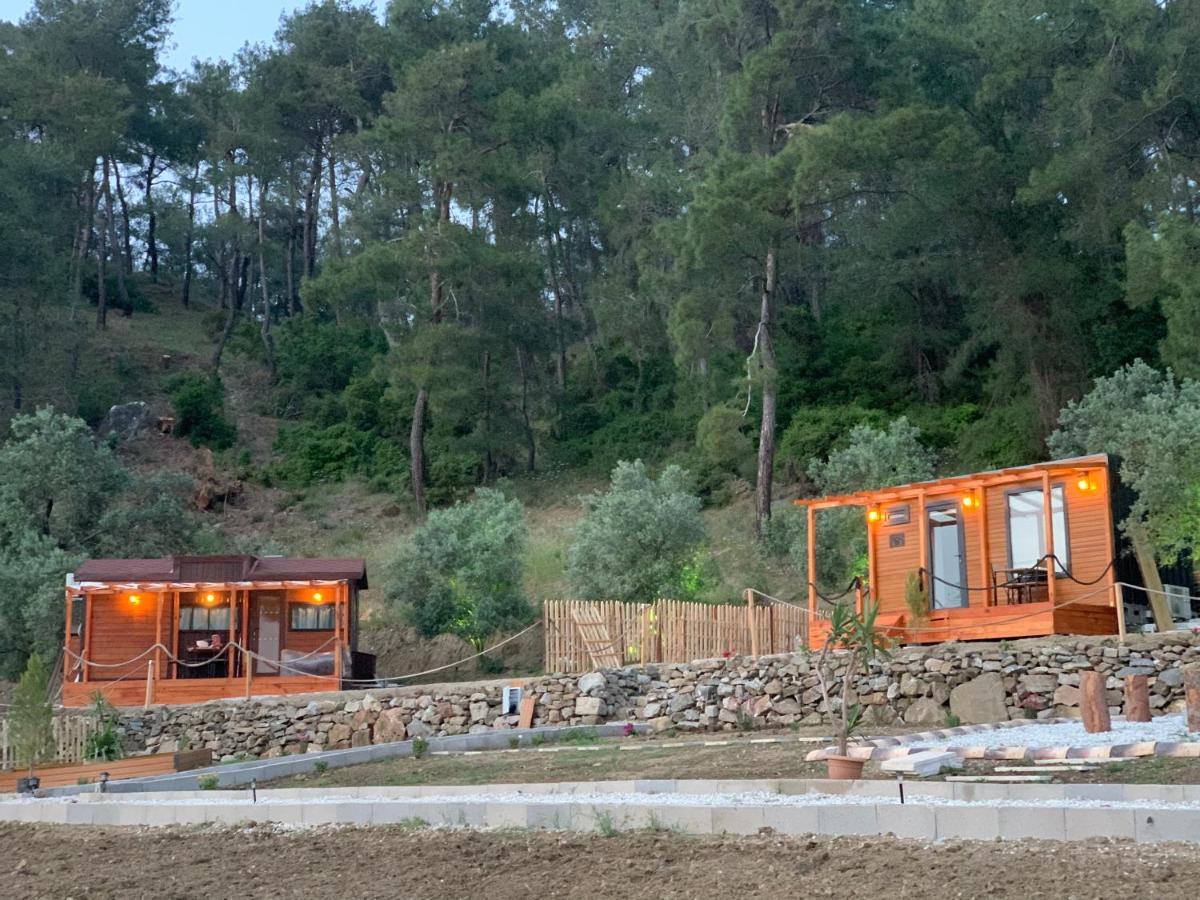 Tiny Mini House Ξενοδοχείο Dalaman Εξωτερικό φωτογραφία