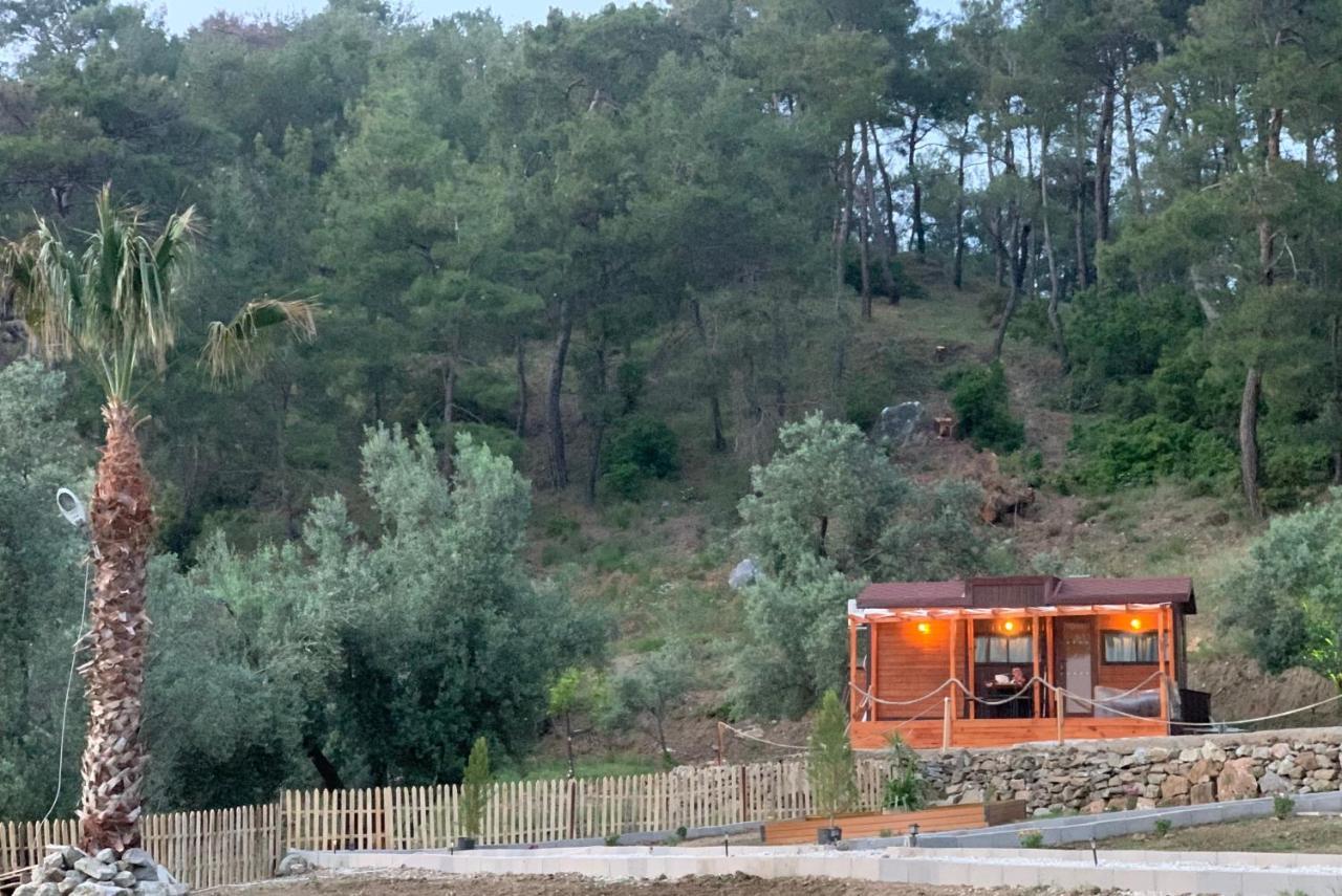 Tiny Mini House Ξενοδοχείο Dalaman Εξωτερικό φωτογραφία