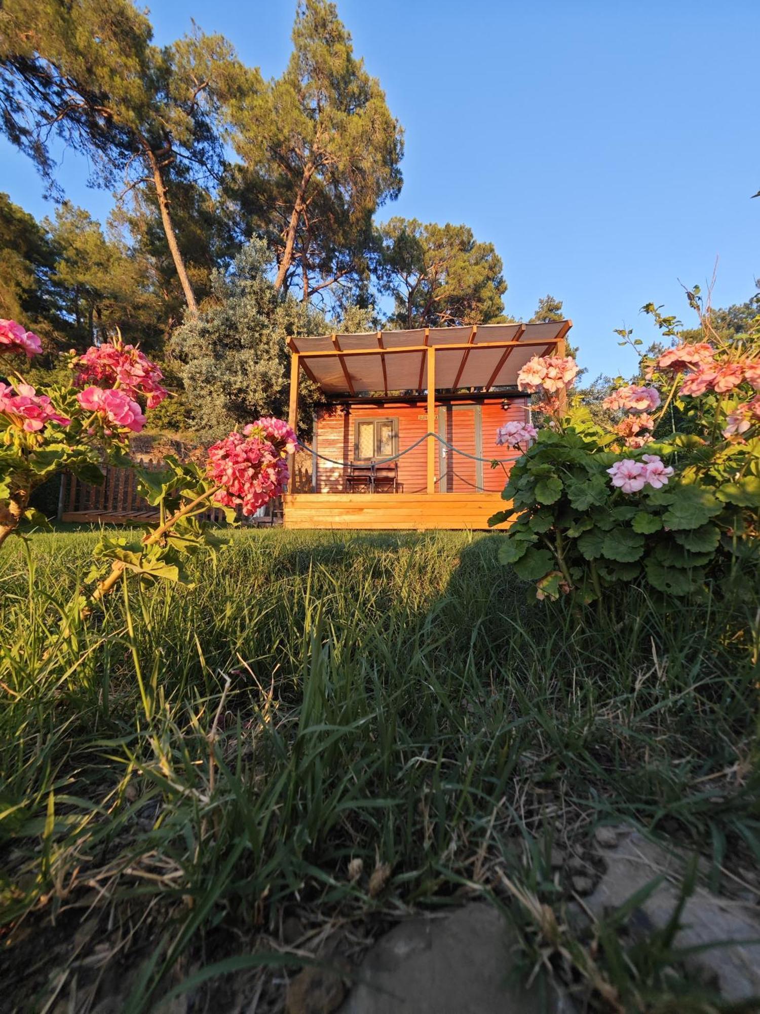 Tiny Mini House Ξενοδοχείο Dalaman Εξωτερικό φωτογραφία