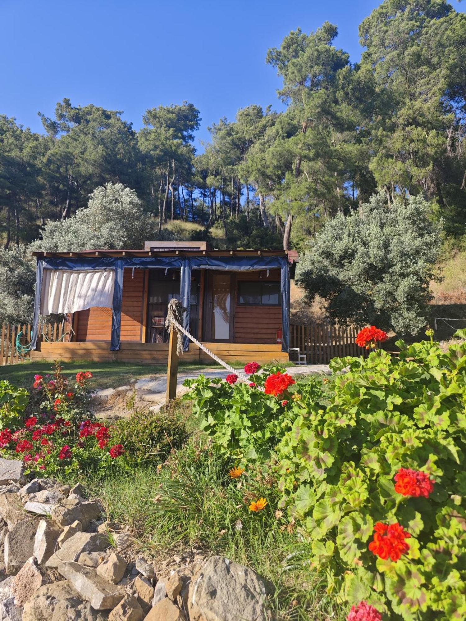 Tiny Mini House Ξενοδοχείο Dalaman Εξωτερικό φωτογραφία