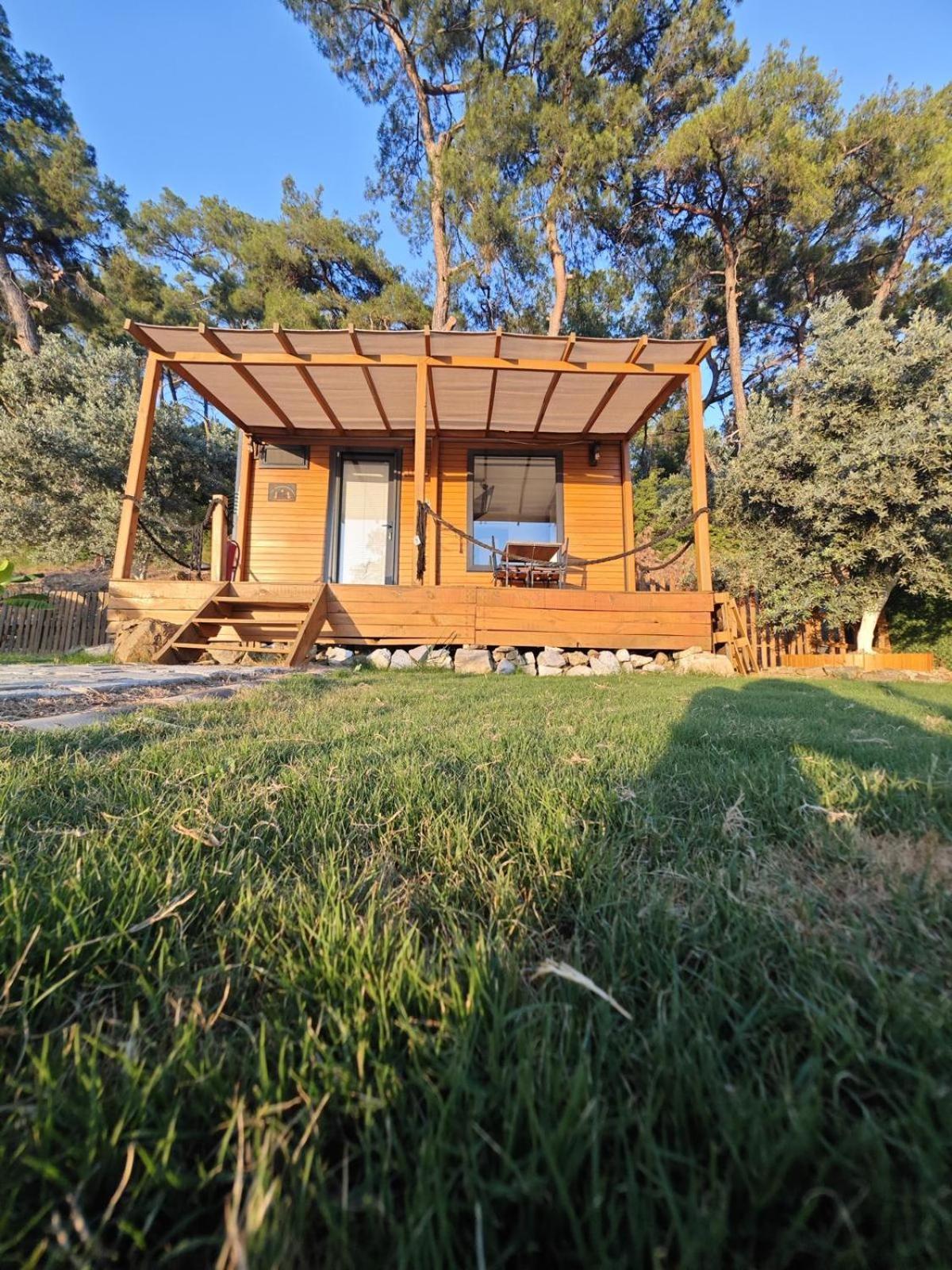 Tiny Mini House Ξενοδοχείο Dalaman Εξωτερικό φωτογραφία