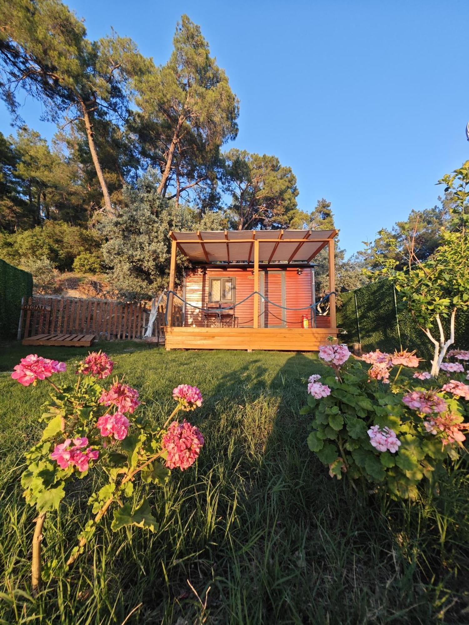 Tiny Mini House Ξενοδοχείο Dalaman Εξωτερικό φωτογραφία